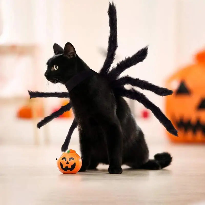 Pet Dog And Cat Costume Halloween Spider Transformation Outfit Pet Costume Pet Cat Dog Funny Cosplay Dress Up Clothes Costume