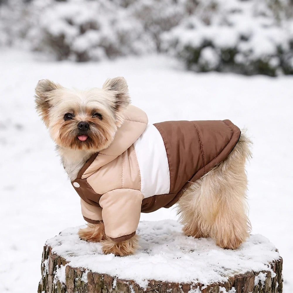Pet Winter Hooded Coat for Small Medium Dogs Cats Windproof Warm Dog Jacket Soft Padded Puppy Clothes Chihuahua Yorkie Overalls